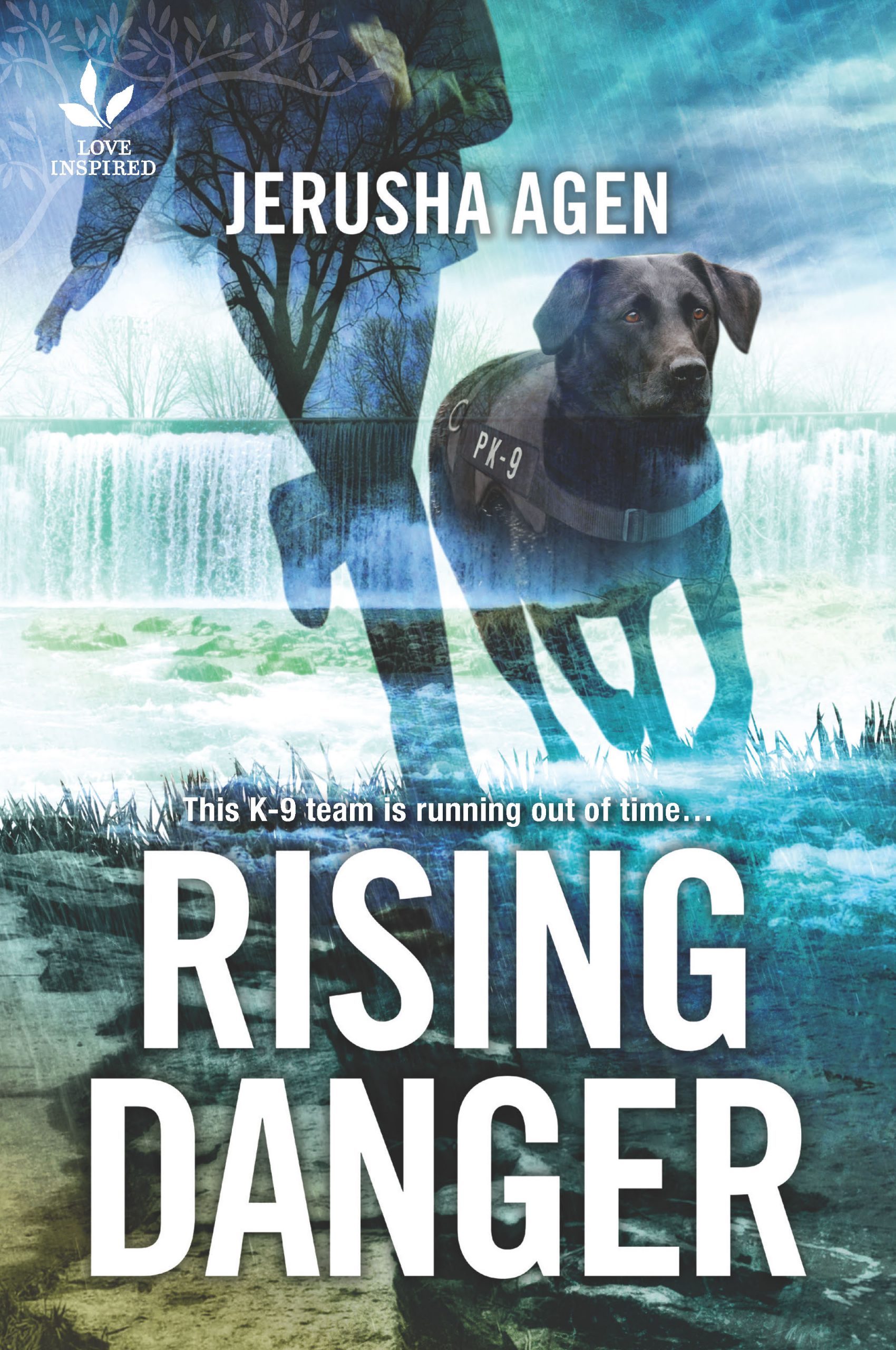 Rising Danger cover
