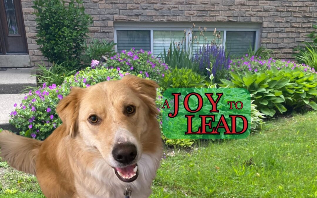 A Joy to Lead