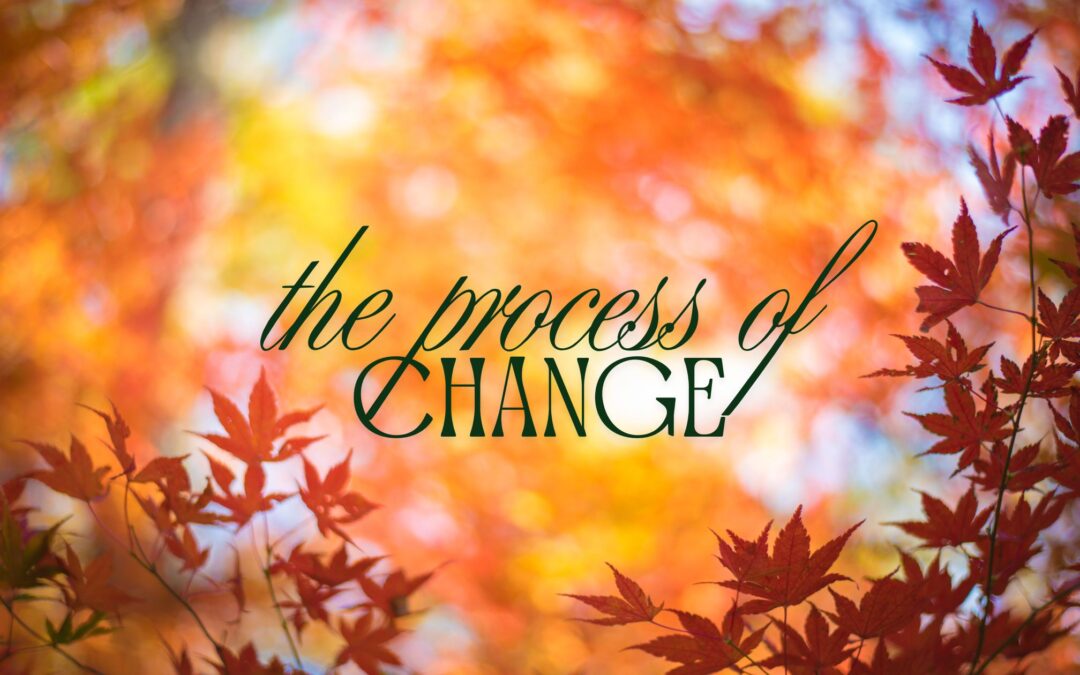 The Process of Change