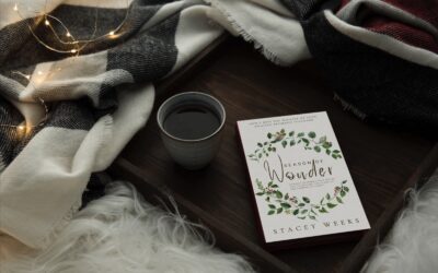 A Day from Season of Wonder