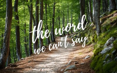 The Word We Can’t Say in our House